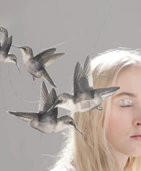 everyone is a moon...