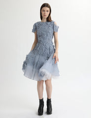 antheia gown